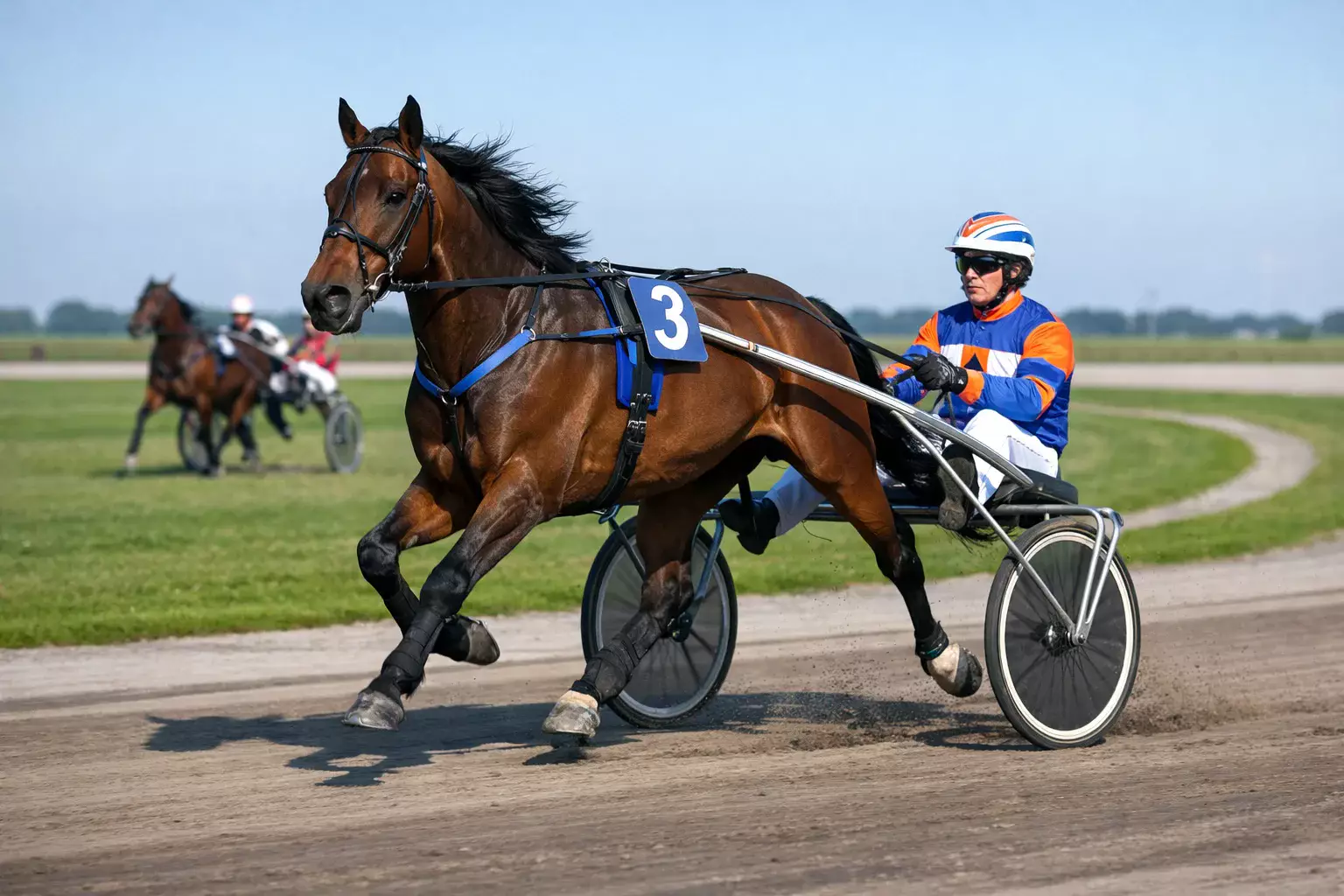 Nederlandse draverij met sulky en draver op de renbaan van Wolvega