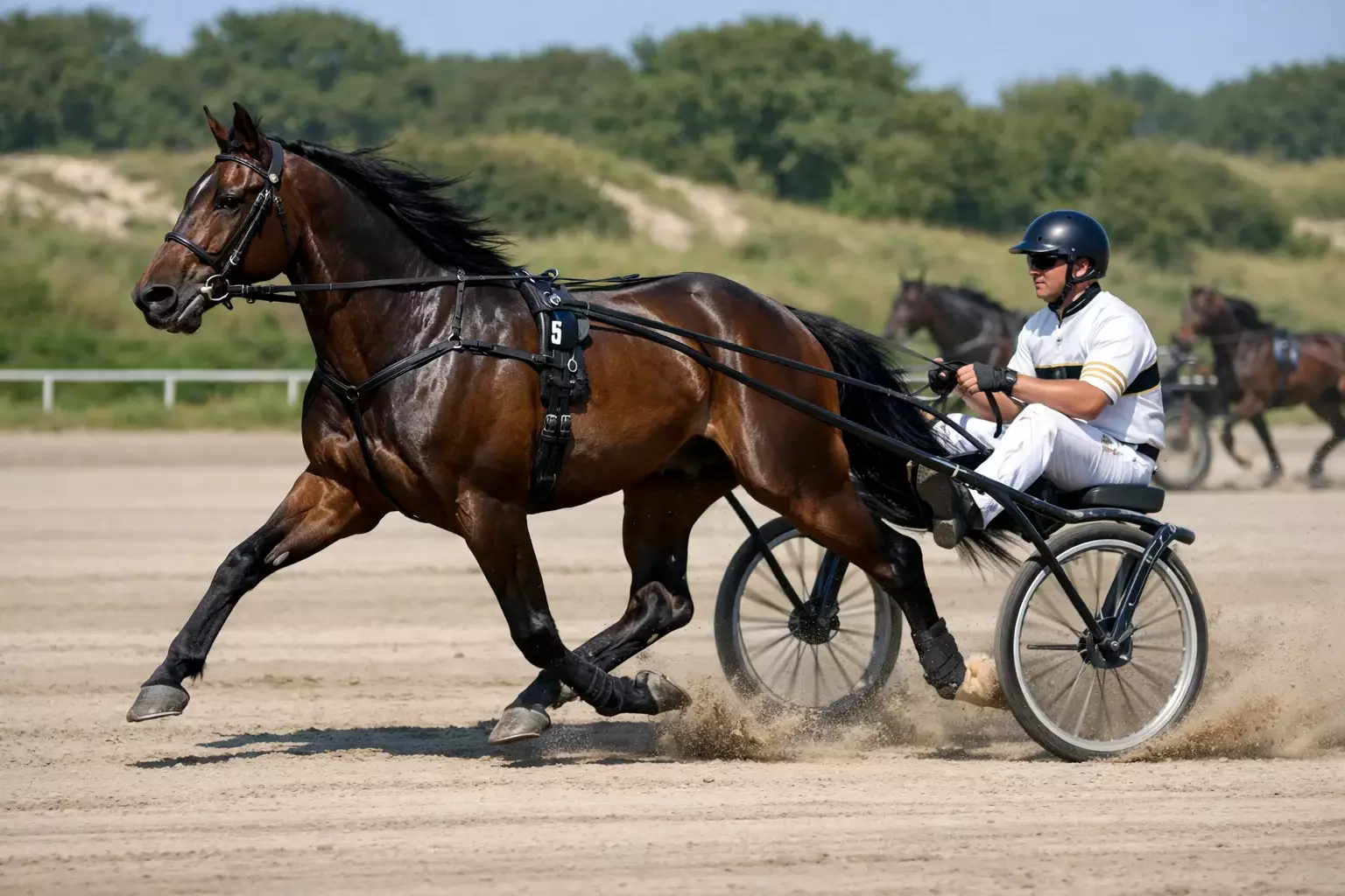 Draver in volle actie op Renbaan Duindigt met pikeur in de sulky tijdens een zomerse racedag