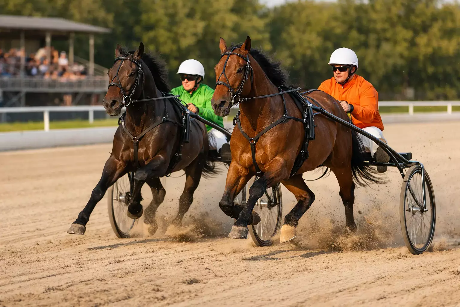 Draver met pikeur in een sulky op een zandbaan tijdens een drafrace in Nederland